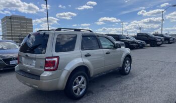 
									2012 Ford Escape XLT SUV 4 Dr Auto V6 Leather Sunroof Alloy Wheels Heated Seats Bluetooth Certified full								