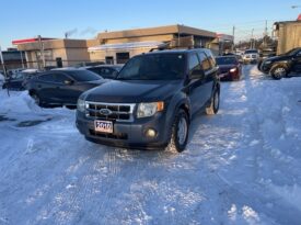 2010 Ford Escape XLT SUV 4 Dr Auto V6 Alloy Wheels Certified